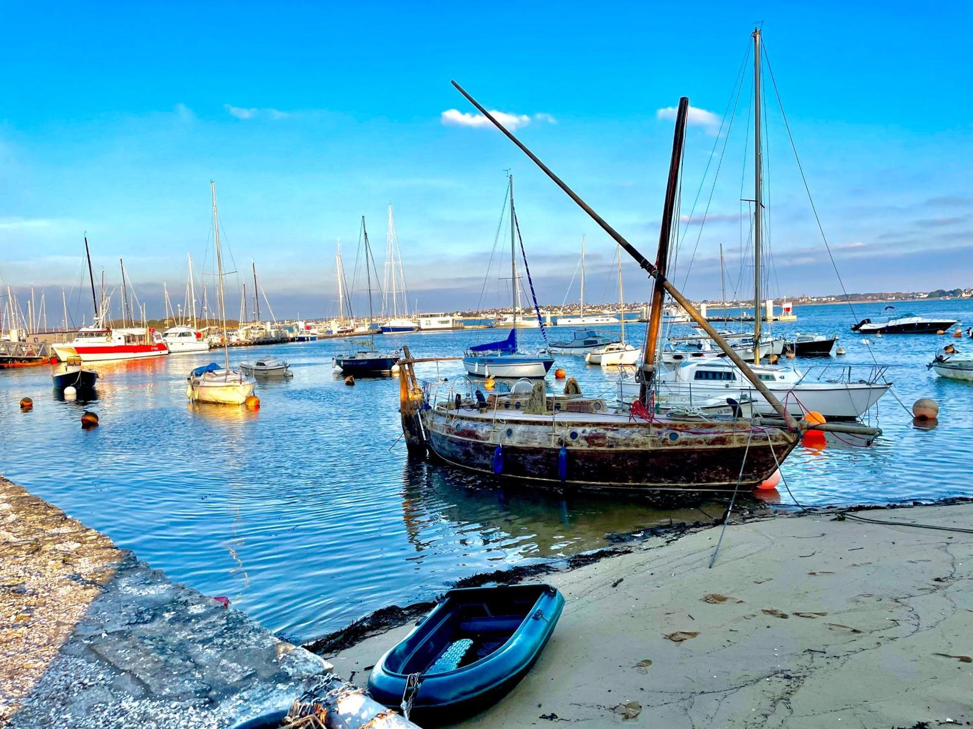Le Nid Douillet, Studio Avec Terrasse Et Parking A 400M Des Plages ラルモール・プラージュ エクステリア 写真